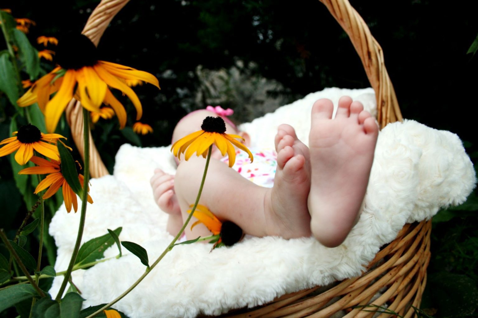 40+ Flower Names For Girls and Their Meanings A Baby